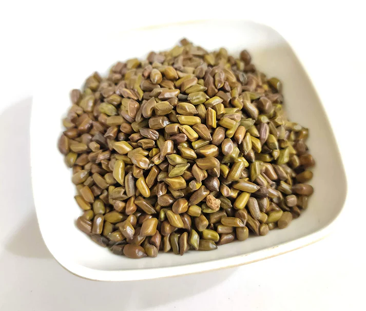 Cassia tora seed supplier in India